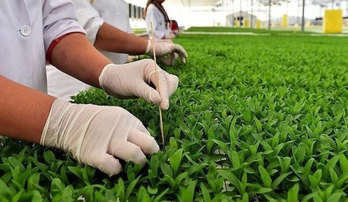 Sahte belgeyle devletten 134 milyon lira destek aldılar: Sekiz kişi gözaltında