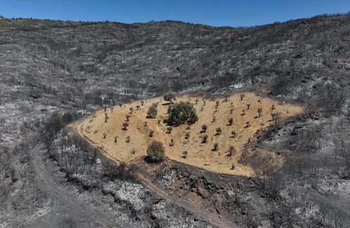İzmir’de o bahçe yanmadı: Çünkü önceden otlardan temizlenmişti