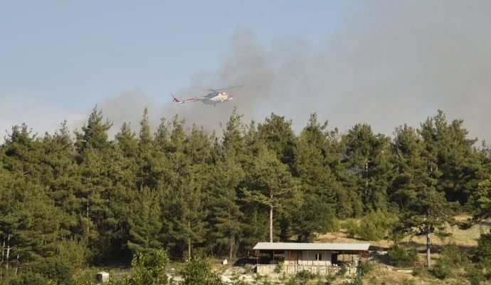 Balıkesir’de orman yangını