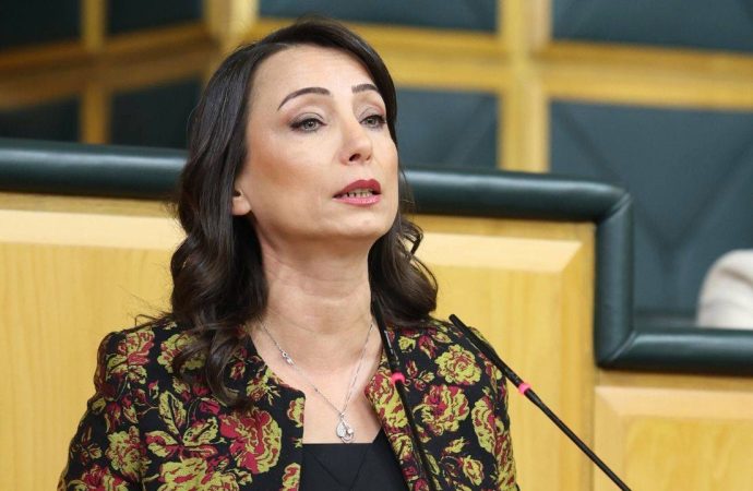 Hatimoğulları’ndan CHP operasyonlarına tepki: Barış umuduna gölge düşürüyor