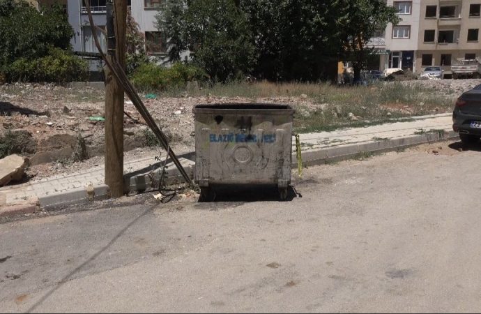 Evde doğum yaptı, bebeği evin önünde çöpe atıp içeri girdi