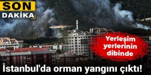 İstanbul’da orman yangını: Aydos ormanına müdahale ediliyor