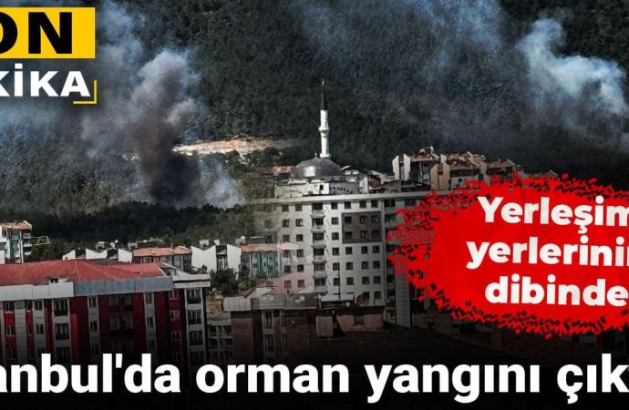 İstanbul’da orman yangını: Aydos ormanına müdahale ediliyor
