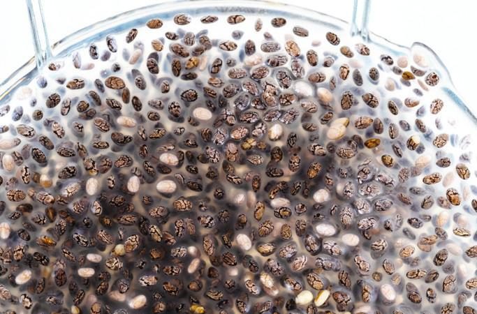 Henüz bilmiyor olabilirsiniz ama o tam bir güç deposu: ‘Süper besin’ chia