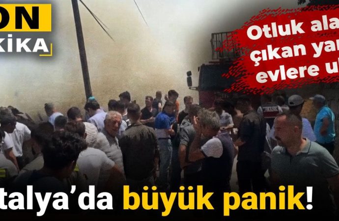 Antalya’da panik: Otluk alanda çıkan yangın Akseki’de evlere ulaştı