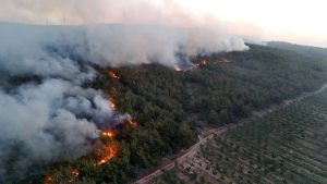 Tekirdağ’da yangın Gelibolu’ya sıçradı, karayolu ulaşıma kapandı