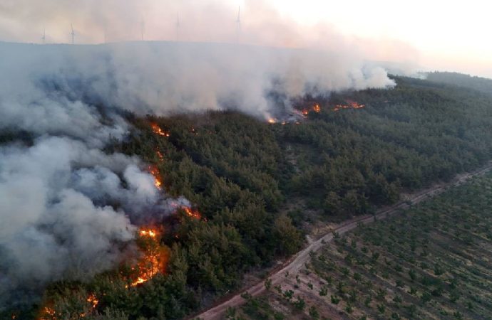 Tekirdağ’da yangın: Çanakkale’ye sıçradı, karayolu ulaşıma kapandı