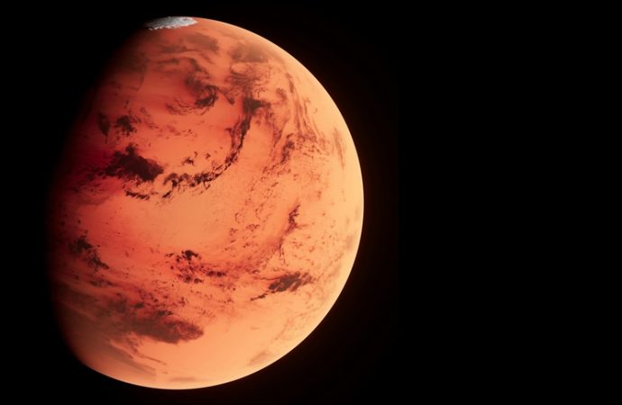 Mars’tan gelen en büyük gök taşı 5,3 milyon dolara satıldı