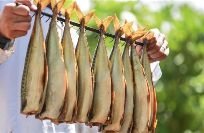 Balık çok faydalı elbet ama tuzlu ringa balığına dikkat!