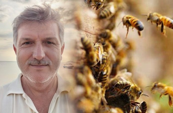 Yaban arısı saldırısında öldü, eşi kalp krizi geçirdi