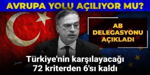 Yetkilisi konuştu: 72 kriter vardı, altı kaldı, sonrası Avrupa