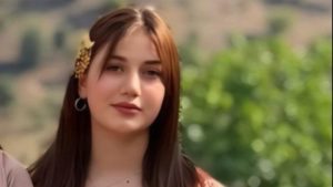 Üç gün oldu yok: Çantası, kimliği bulundu, Rojda Asmin nerede?
