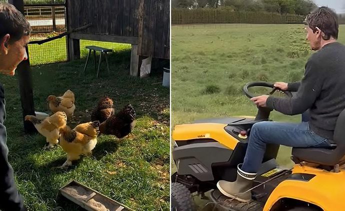 Doğal yaşamayı seçmişti, sıkıldı: ‘Bıktım tavuk peşinde koşmaktan!’