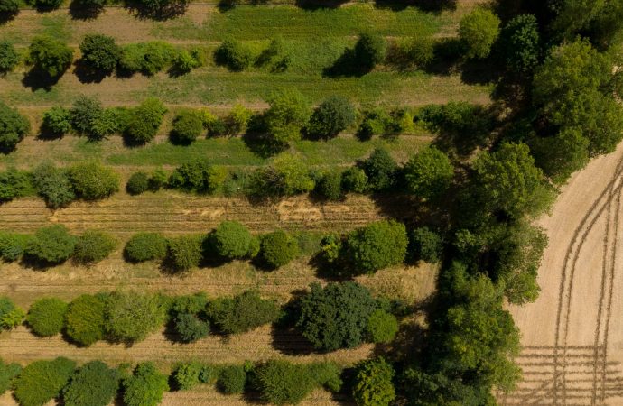 WWF Türkiye: Doğanın bir yılda sunduğu kaynakları yedi ayda tükettik