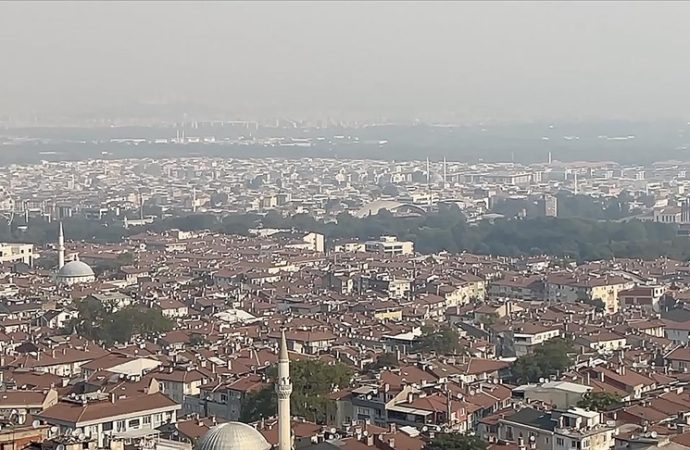Orman yangınları: ‘Kül taşınımı’ bir haftadan uzun sürebilir