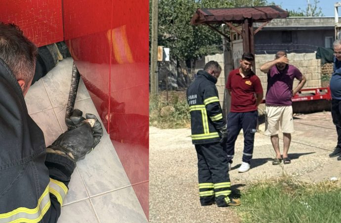 Mutfağına giren yılanı itfaiye ekibi yakaladı