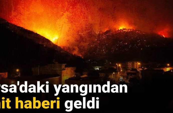 Orman yangını Bursa itfaiyesinden de can aldı