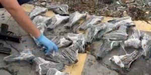 Oyuncak poşetinden 50 kaçak tabanca çıktı