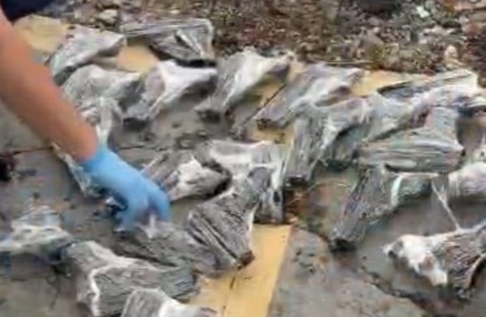 Oyuncak poşetinden 50 kaçak tabanca çıktı