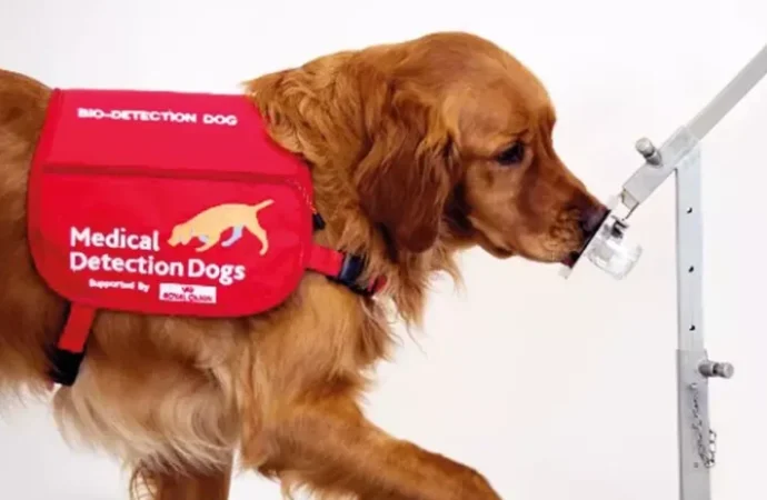 Parkinson’u koklayan köpekler!