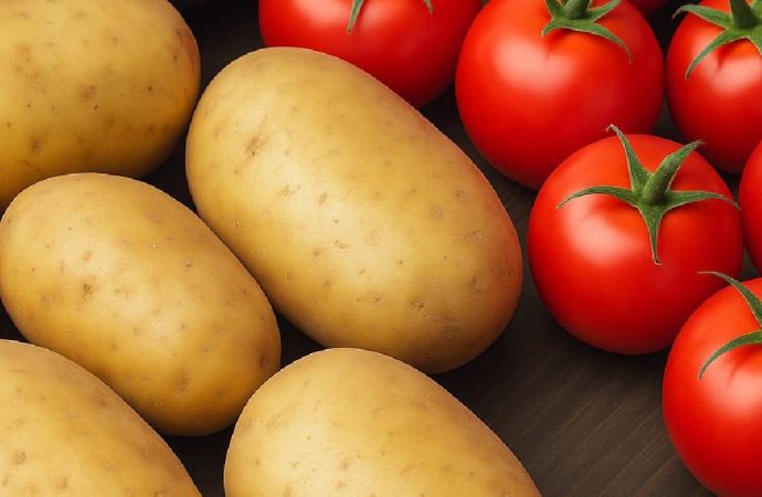 Patates diye bir şey yokmuş aslında: Yarısı domatesten dönmeymiş