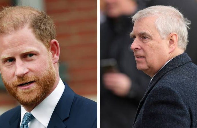 ‘Prens Harry yıllar önce amcası Prens Andrew’u yumrukladı’