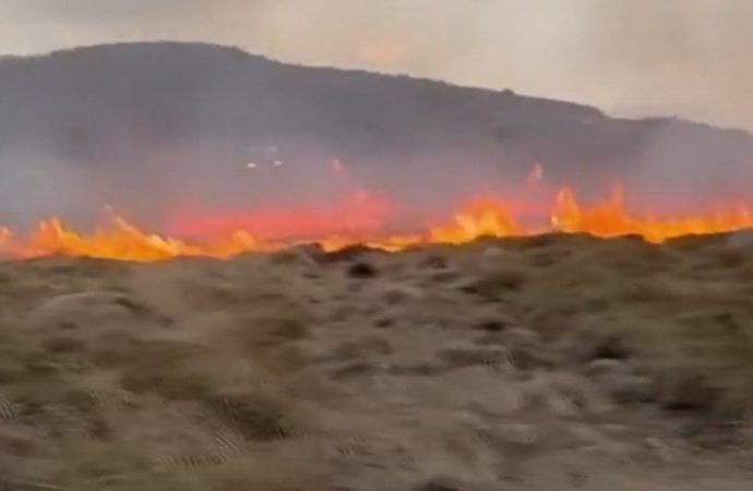 Paşalimanı Adası’nda yangın
