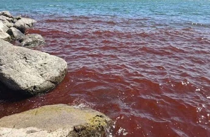 Göl bile İsrail’in katliamını yüzüne vurdu