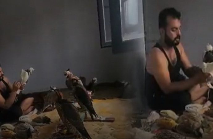 Suriyeli kuş çetesine gözaltı: Türkiye’de avlayıp Araplara satıyorlardı