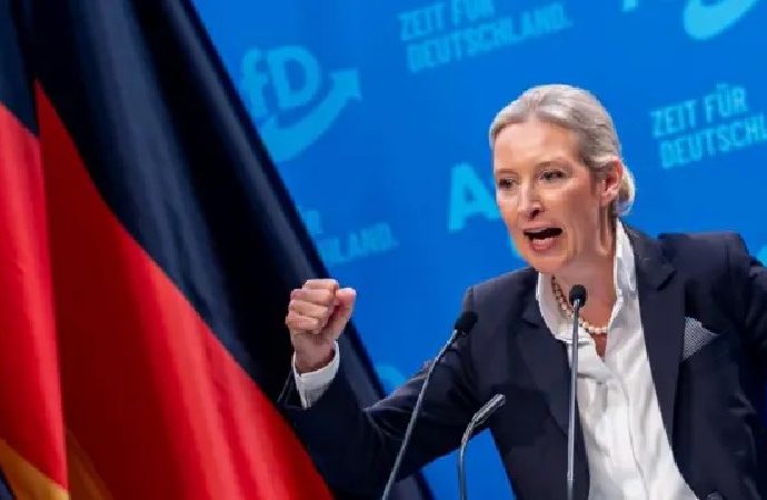 Anket: Almanya’da AfD Partisi yeniden birinci sıraya yükseldi