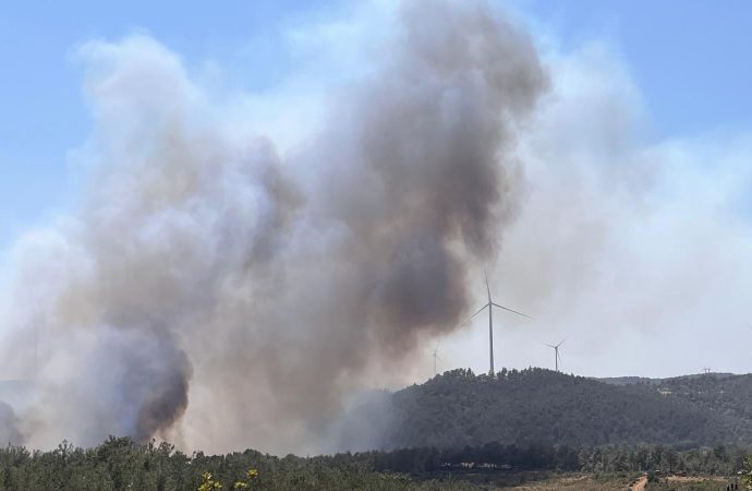 Çanakkale merkezde yeniden orman yangını