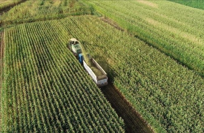 Tarım ÜFE temmuzda yüzde 5,66 düştü