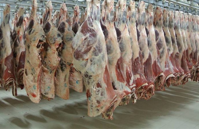 Dev et markası konkordato ilan etti: Üç ay süre tanındı