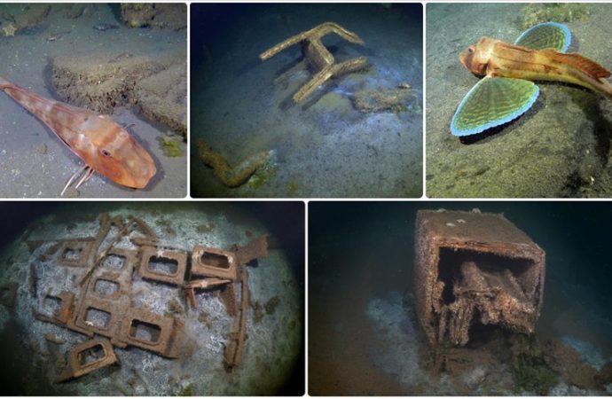 Marmara Depremi’nin 26. yıldönümü: Bir şehir tam 50 metre böyle battı