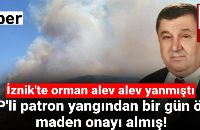 Orman yangınından bir gün önce araziye maden onayı alınmış