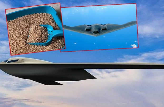 B-2 bombardıman uçağı pilotunun ‘kedi kumlu çiş çantası’ itirafı