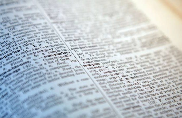Cambridge sözlüğüne zamanın ruhuna uygun kelimeler ekleniyor: Skibidi, tradwife, delulu, broligarchy…