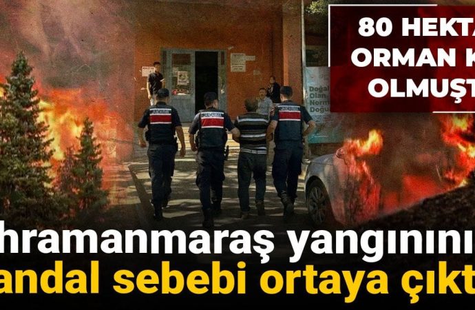 Arılarını yatıştırmak için tütsü yaktı, 80 hektar orman kül oldu