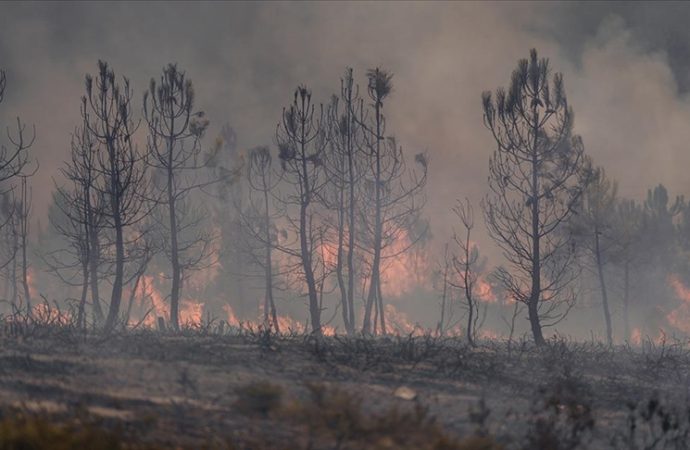 Yangın İspanya’da da dört can aldı