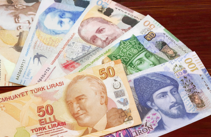 Gürcü larisini 350 TL sandı, 5 bin liradan oldu