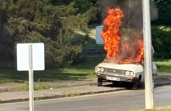 ‘Beyaz Toros’ eylemcisi tutuklandı