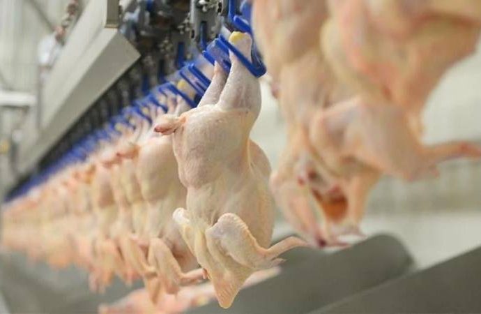 Suriye de Türkiye’den dondurulmuş piliç almayı reddetti