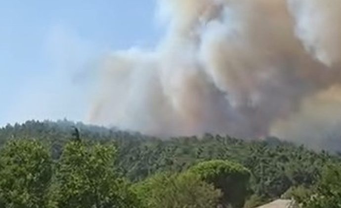Gelibolu ve Malatya’da orman yangını!