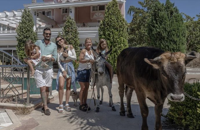 Apak hayvanlar evi: Farklı türde hayvanlara yuva oldu