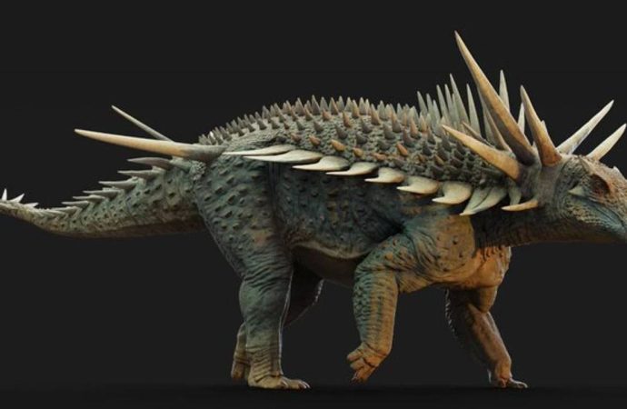Bu dinozor Fas’ta keşfedildi: Dikenleri bir metre