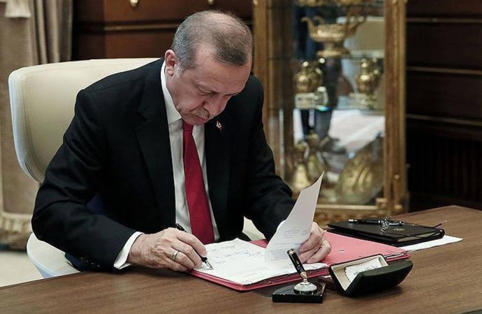 Erdoğan imzaladı: Üç ilde “Sahipsiz Hayvanları Koruma Birliği” kurulacak