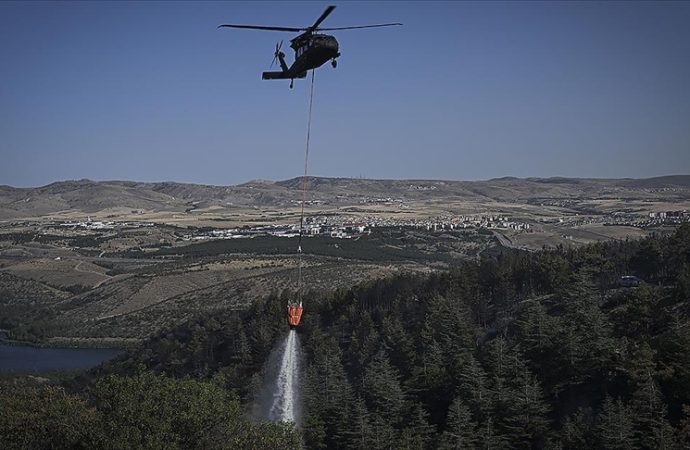 Ankara’da ormana giriş yasağı 30 Eylül’e uzatıldı