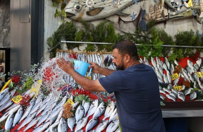 Hamsinin fiyatı dudak uçuklatıyor