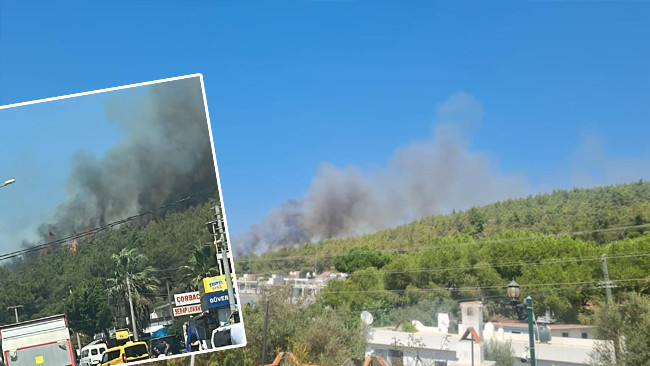 Bodrum’da orman yangını