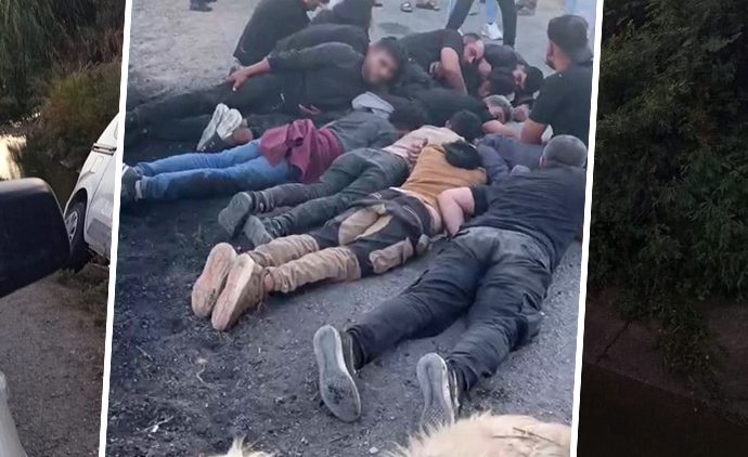 Koyun sürüsüne çarptı, kaçak göçmenleri bırakıp kaçtı